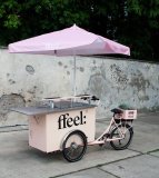 Christiania Bikes / Fahrrad-Mobil / Sonderaufbau / Veloprojekt / 05